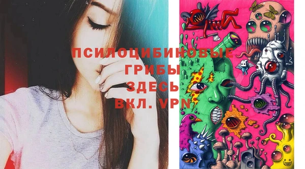 мдпв Моршанск