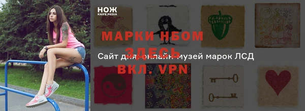 гидра Осинники